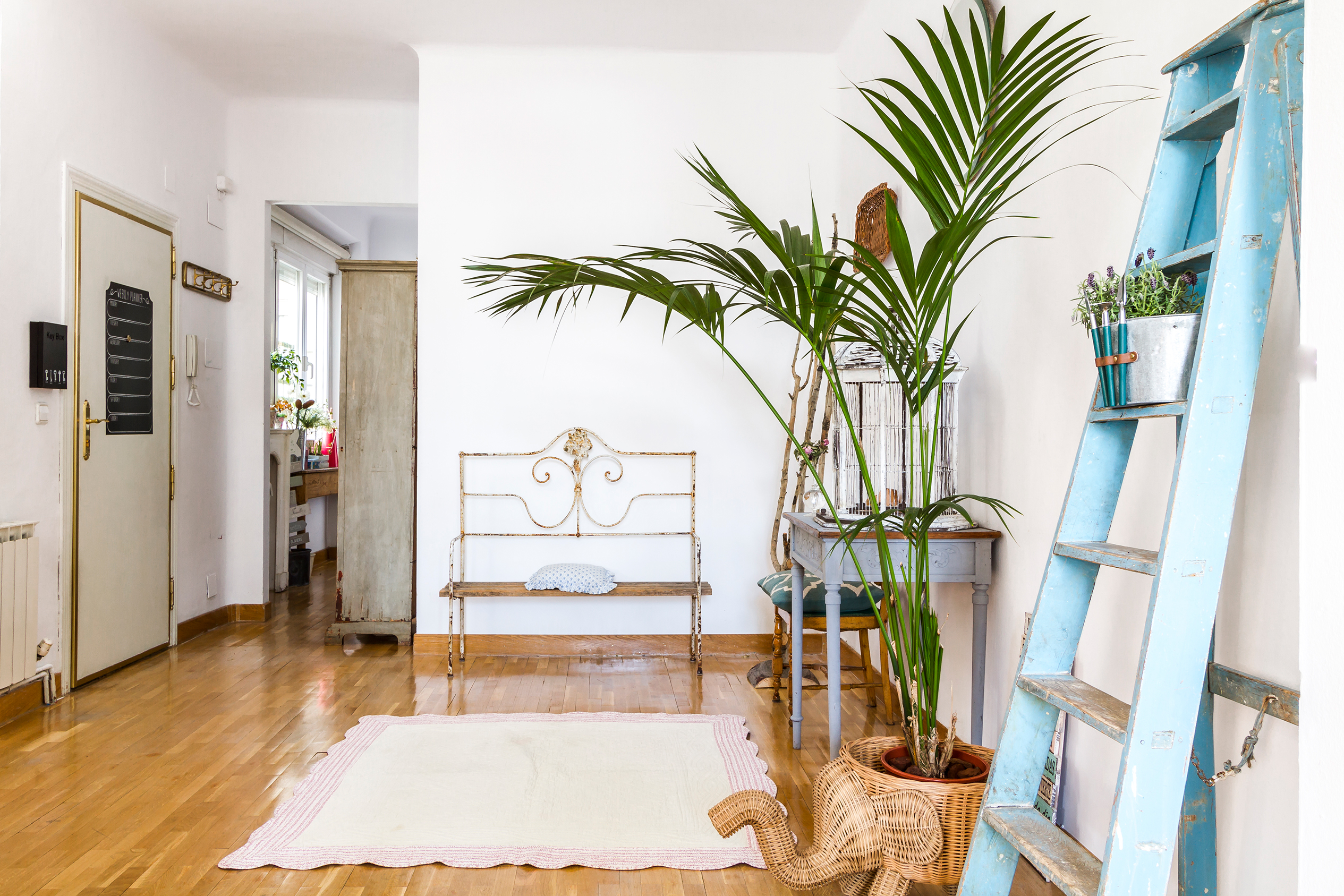 Proyecto Casas AB. Restyling