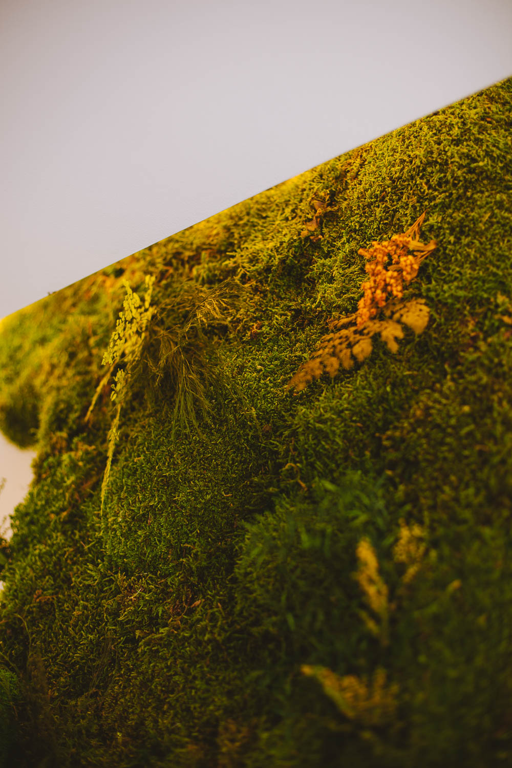 Detalle pared